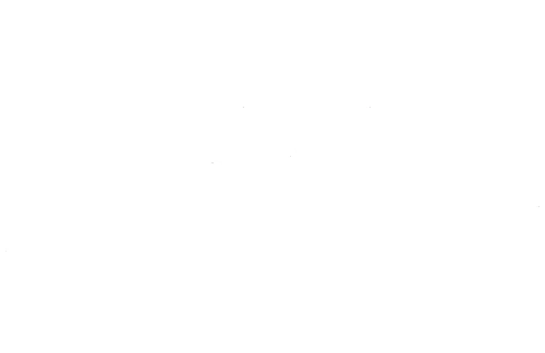 Boston Scientific